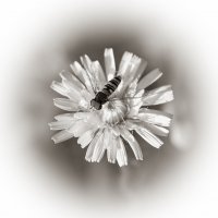 *** :: Александр. AVG100 --- *** :: Александр. AVG100 ---