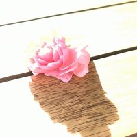 *** :: Сергей Полянский