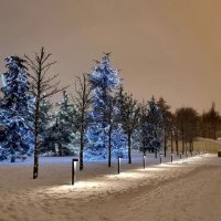 Зимний парк :: Екатерина Леш