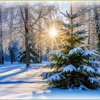 Мороз и солнце день чудесный ... :: Валентина Надсон