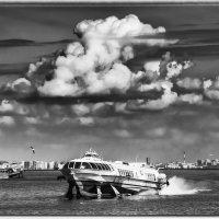 На крыле :: Олег Загорулько