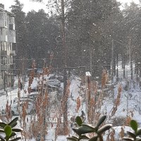 Вот и новый год ... :: Галина Минчук