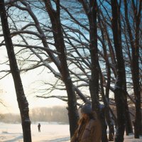 Зима :: Александр Гапеев