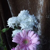 Букет :: Freddy 97