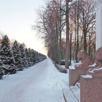 Каменные львы Воронихинских колоннад. :: VasiLina * Каменные львы Воронихинских колоннад. :: VasiLina *