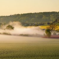 misty morning :: Elena Wymann