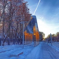 Из прогулки в зимний солнечный день :: svk *