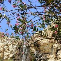 БЕЛЫЙ   ВОДОПАД :: Анатолий Малобродский