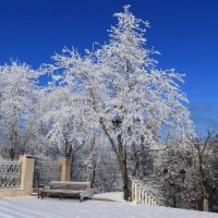 *** :: Игорь Kуленко