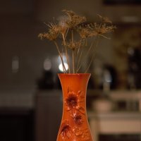 Укроп. :: Юрий Полторыхин.