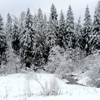 зима. :: Маргарита ( Марта ) Дрожжина