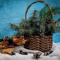 Зимний натюрморт :: Людмила Павловна Крышковец Зимний натюрморт :: Людмила Павловна Крышковец