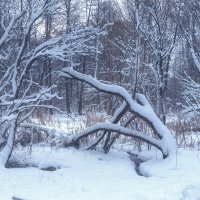 Зарисовки :: Michel 