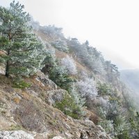 Крымская зима :: Алёна Годунова