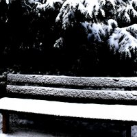 Южная зима - 2 :: Алексей Кузнецов