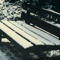 Южная зима - 1 :: Алексей Кузнецов