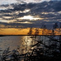 На берегу Северной Ддвины :: Игорь Корф