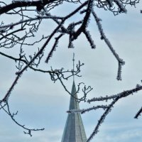 Калининград. Кафедральный собор. :: Михаил Свиденцов Калининград. Кафедральный собор. :: Михаил Свиденцов