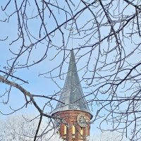 Калининград. Кафедральный собор. :: Михаил Свиденцов