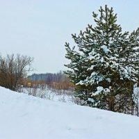 Нефтяная дорога по левому берегу Юганской Оби! :: Владимир Нефтяная дорога по левому берегу Юганской Оби! :: Владимир