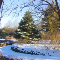 Зимний  пейзаж :: Валентин Семчишин