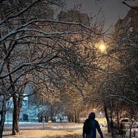 А вечером повалило... :: Николай Саржанов