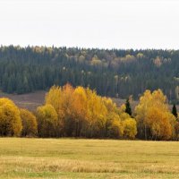 Октябрь :: Лариса С.