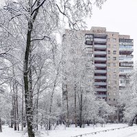 Зимнее кружево :: Евгений Зимнее кружево :: Евгений
