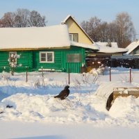 А у нас во дворе...есть мальчишка один! :: Ольга Митрофанова А у нас во дворе...есть мальчишка один! :: Ольга Митрофанова
