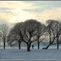 *** :: Aleksandr Gal