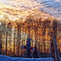 Из прогулки в зимний солнечный день :: svk *