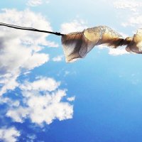 А я, такое облако :: Виктор Никитенко