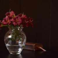 Букет :: Лена -