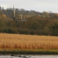 По берегу реки. :: В.И По берегу реки. :: В.И