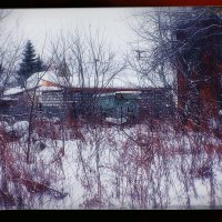 Одинокий закрытый ларёк из 90-ых :: Игорь Солдаткин Одинокий закрытый ларёк из 90-ых :: Игорь Солдаткин