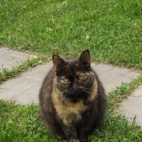 Фрося :: Freddy 97 Фрося :: Freddy 97