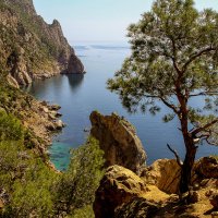 Мыс Айя. :: Сергей Воротников Мыс Айя. :: Сергей Воротников