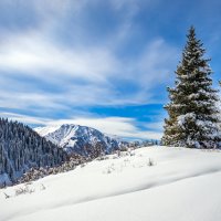 В горы... :: Сергей Мурзин В горы... :: Сергей Мурзин
