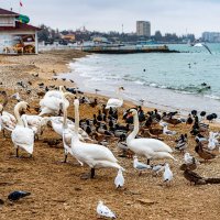 пляжная линия :: Дмитрий Лупандин пляжная линия :: Дмитрий Лупандин