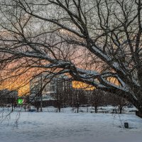 Догорает зимний день. :: Николай 