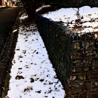 Южная зима - 6 :: Алексей Кузнецов