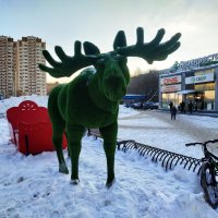 И в Москве бывает морозно :: Андрей Лукьянов