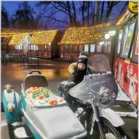 Тимофей :: Ольга Довженко