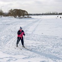На замёрзшем пруду :: Валерий Иванович На замёрзшем пруду :: Валерий Иванович
