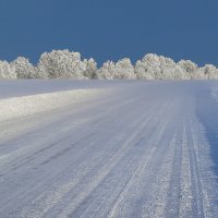 ... :: Жора Житников