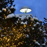 Новогодняя Москва. Путешествие в Рождество 2026. :: Наташа ***** Новогодняя Москва. Путешествие в Рождество 2026. :: Наташа *****