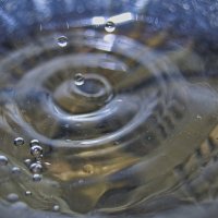 Микробултых :: Giant Tao /