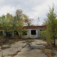 заброшка :: Елена Шаламова