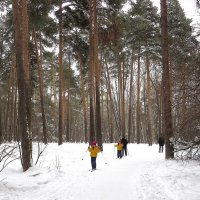 Всей семьей на лыжах :: Лариса С.