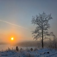 Мороз... :: Ирина *